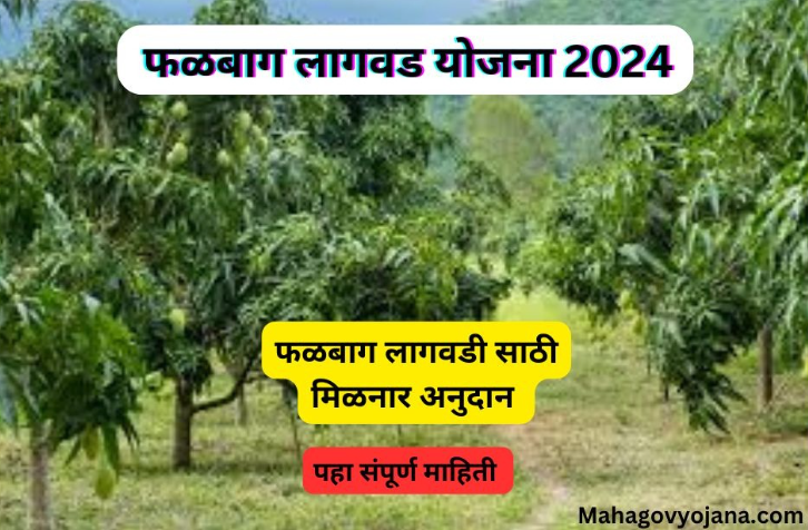 फळबाग लागवड योजना 2024 | Falbag Lagwad Yojana