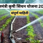 प्रधानमंत्री कृषी सिंचन योजना 2024 | Pradhan Mantri Krishi Sinchayee Yojana