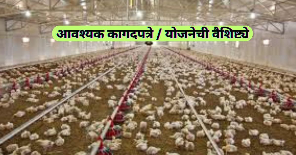 कुक्कुट पालन योजना महाराष्ट्र मराठी : Kukut Palan Yojana Maharashtra 2024