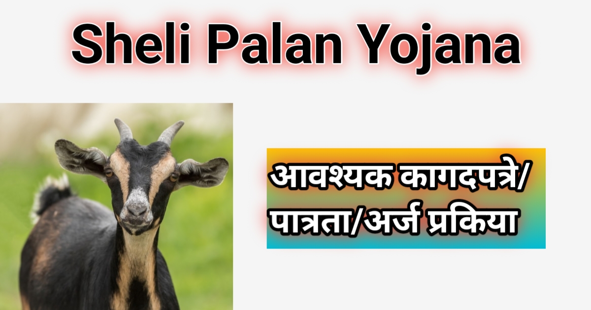 Sheli Palan Yojana 2025 | शेळी पालन योजना - शेळी पालनावर मिळणार 75 टक्के अनुदान