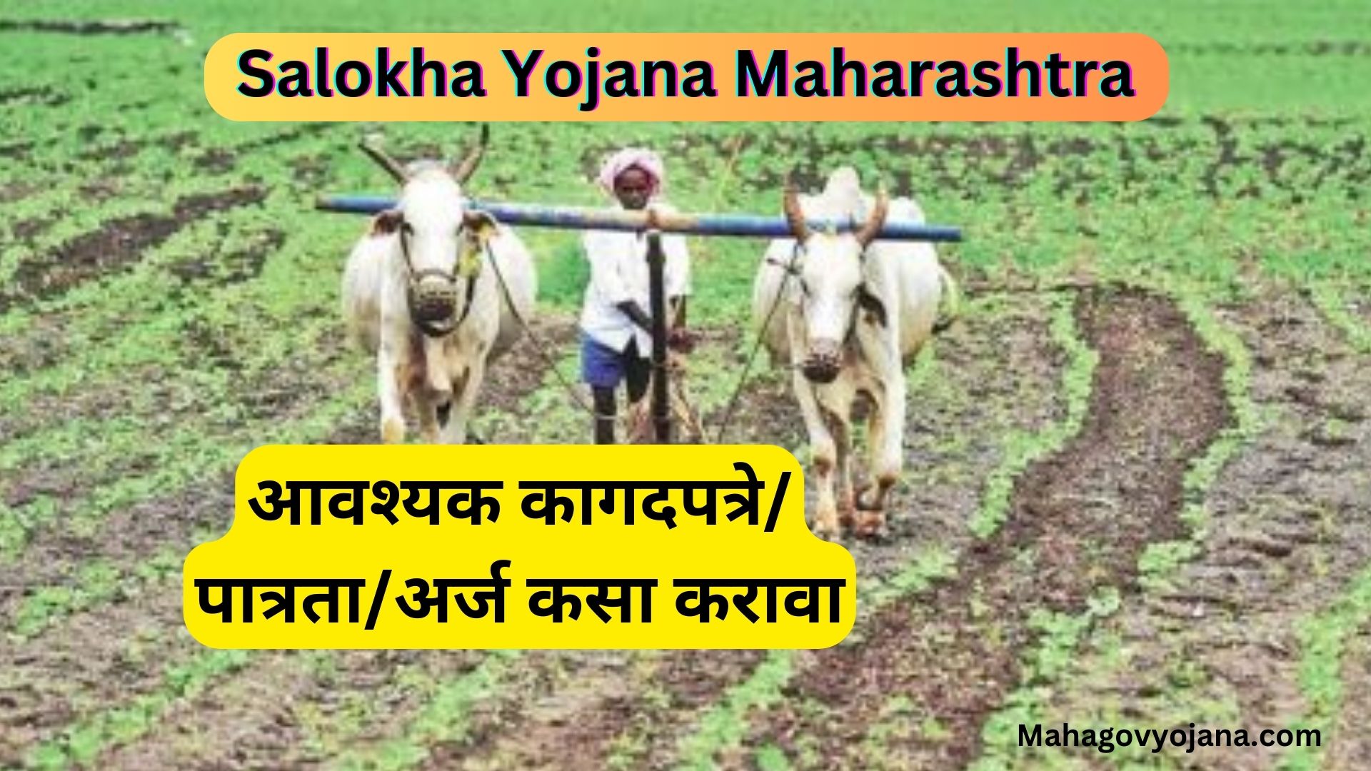Salokha Yojana Maharashtra 2025 | सलोखा योजना शेतजमिनीसंबंधी वाद मिटवण्यासाठी एक महत्त्वपूर्ण योजना